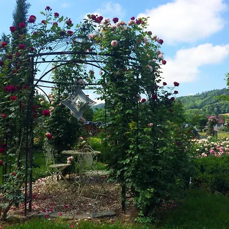 Winzerhof Maennle Oberkirch (Baden)
