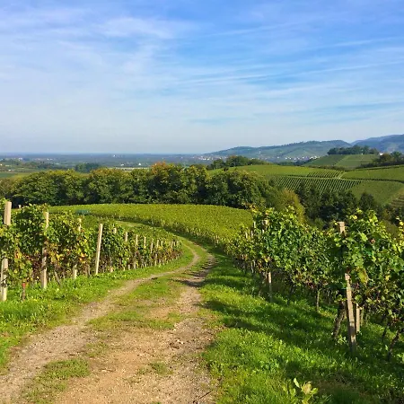 Winzerhof Maennle Apartamento Oberkirch (Baden)