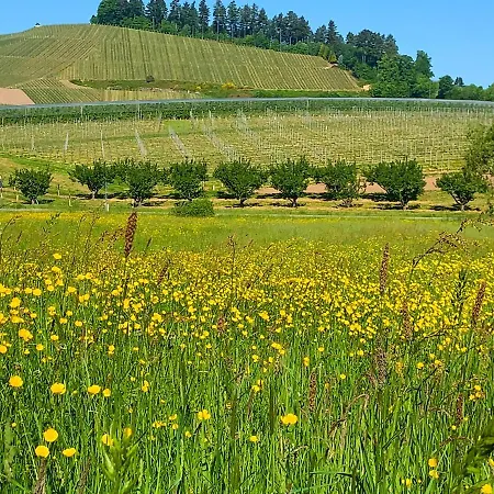 Winzerhof Maennle Oberkirch (Baden)