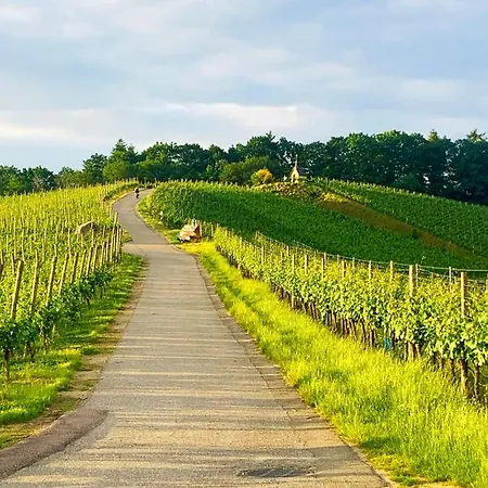 Apartamento Winzerhof Maennle