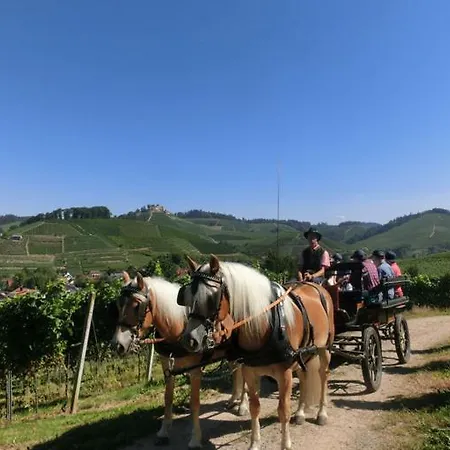 Apartamento Winzerhof Maennle *