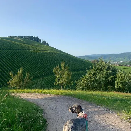 Winzerhof Maennle Apartamento Oberkirch (Baden)
