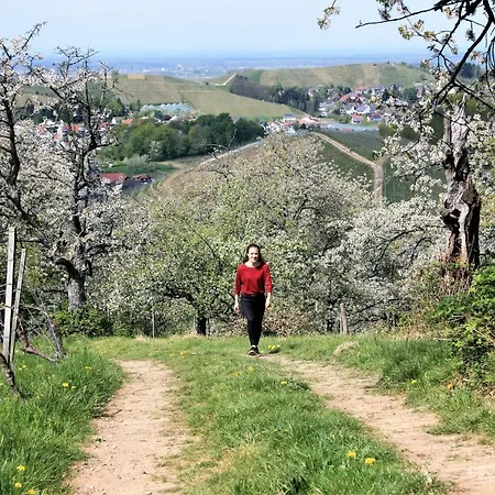 Winzerhof Maennle * Oberkirch (Baden)