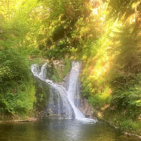 Winzerhof Maennle Oberkirch (Baden)