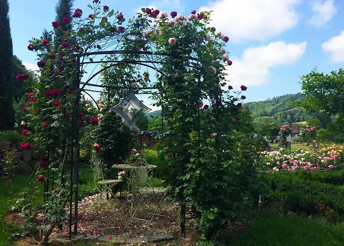 Winzerhof Maennle Oberkirch (Baden)