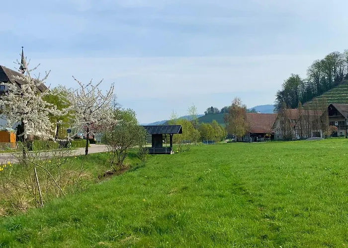 Apartamento Winzerhof Maennle