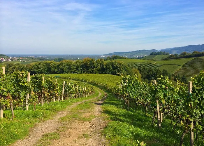 Winzerhof Maennle Apartamento Oberkirch (Baden)