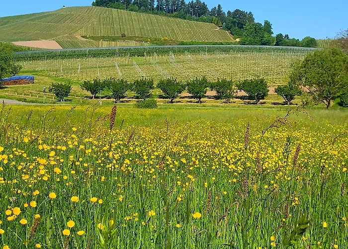 Winzerhof Maennle Oberkirch (Baden)