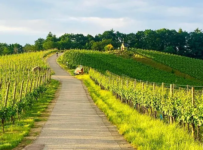 Apartamento Winzerhof Maennle