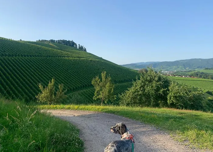 Winzerhof Maennle Apartamento Oberkirch (Baden)