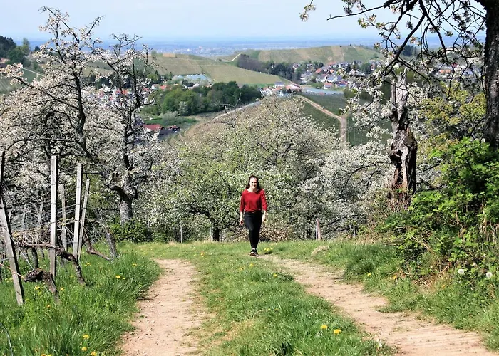 Winzerhof Maennle * Oberkirch (Baden)