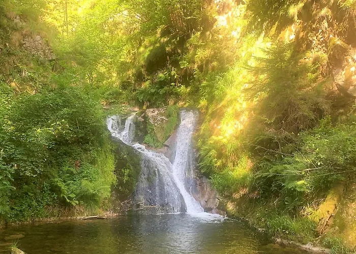 Winzerhof Maennle Oberkirch (Baden)